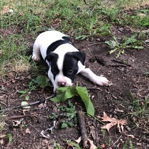 Meet your Posher, Mack